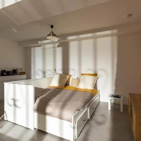 L'oasis Urbaine Carcasona